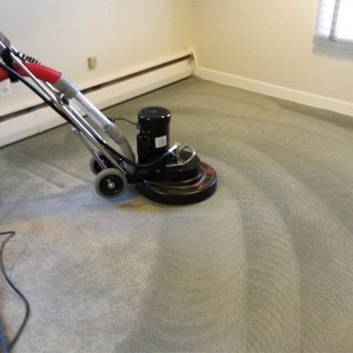 carpet cleaning allendale id results 5