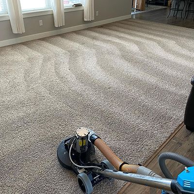 carpet cleaning allendale id results 7