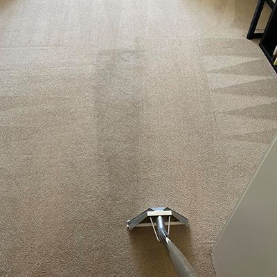 carpet cleaning fischer id results 8