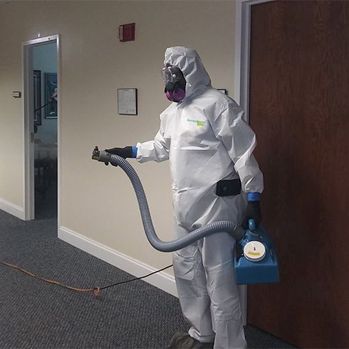 intro disinfecting services allendale id