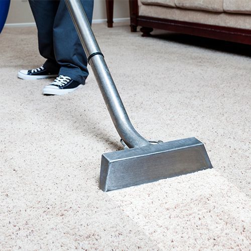top carpet cleaning fischer id