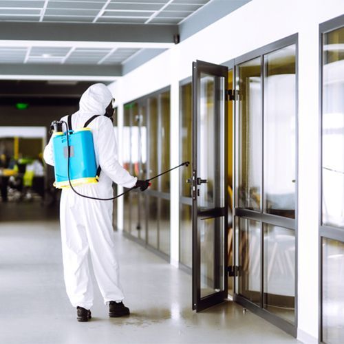 top disinfecting services allendale id